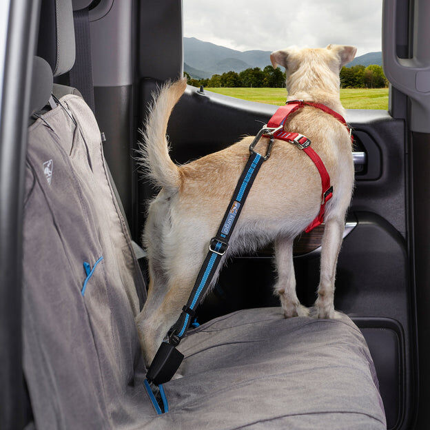 Kurgo Direct to Seatbelt Tether