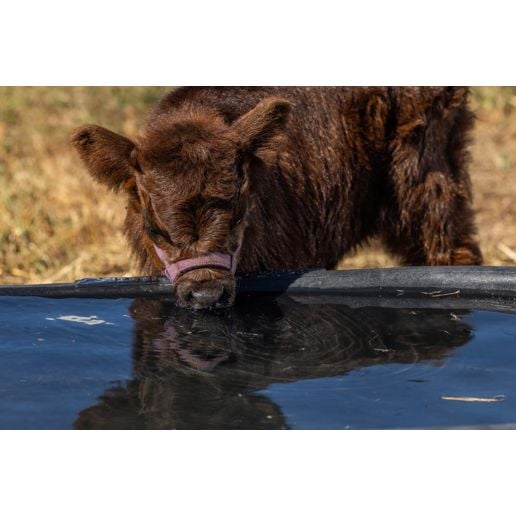 Behlen Country Rigid Poly Stock Tank, 300-Gal