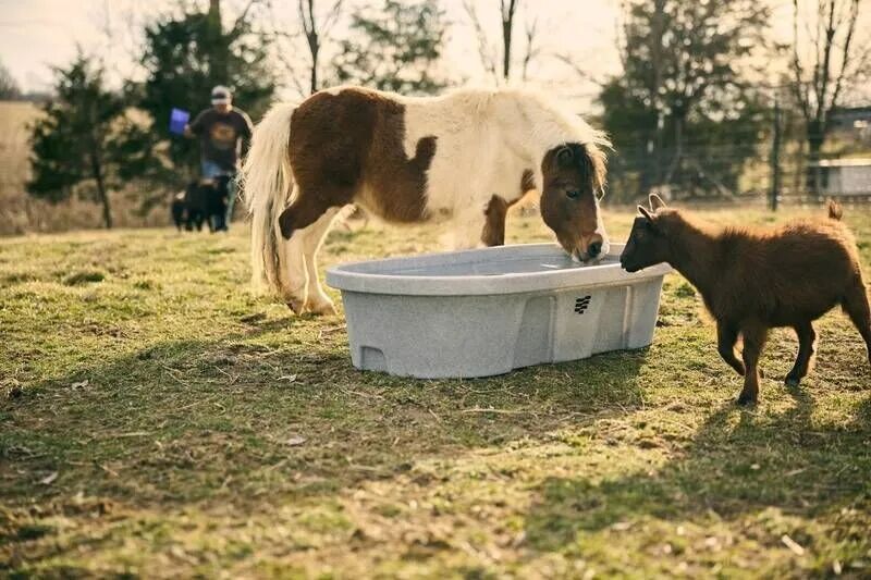 Tarter DuraTough Poly Stock Tank, 300-Gal