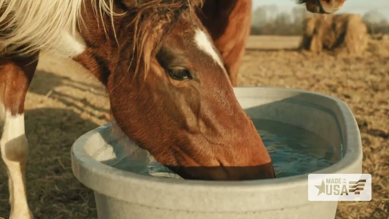 Tarter DuraTough Poly Stock Tank, 300-Gal