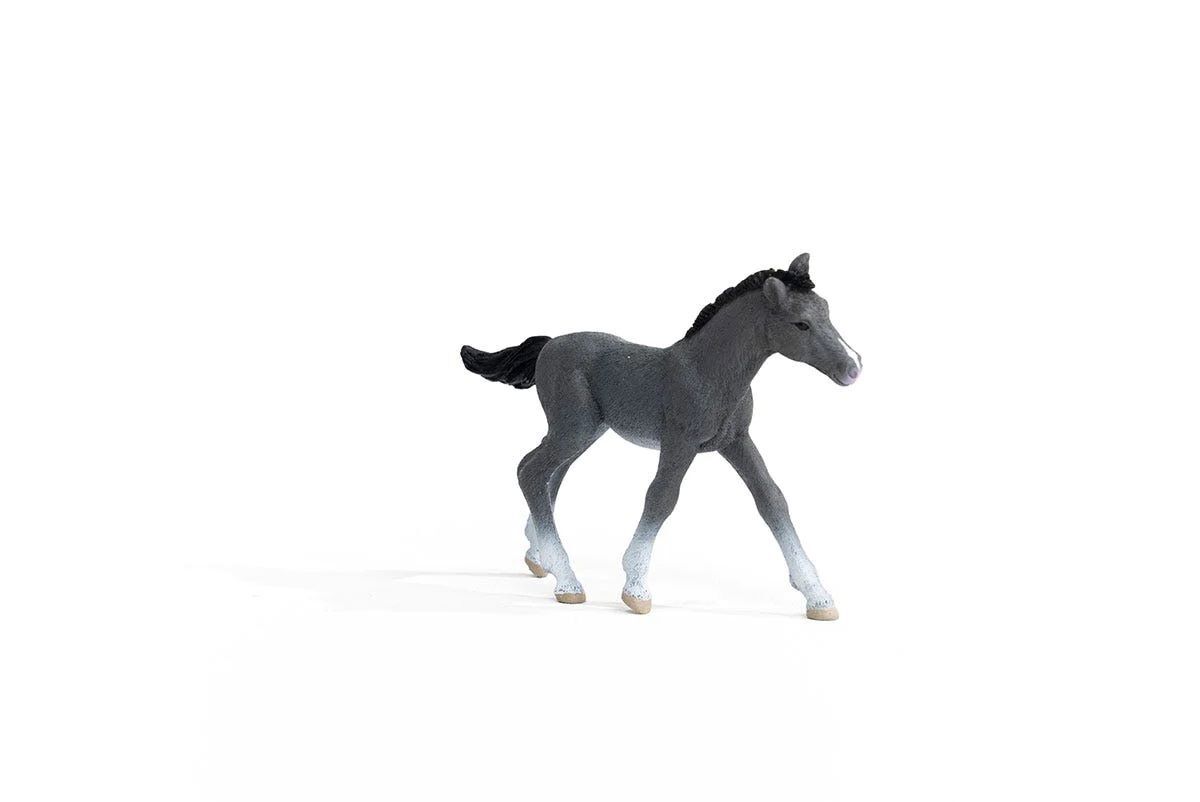 Schleich Trakehner Foal Toy