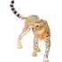 Schleich Female Cheetah Toy