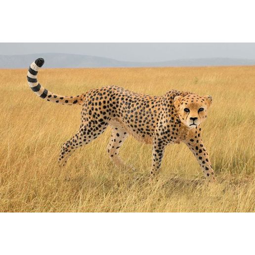 Schleich Female Cheetah Toy