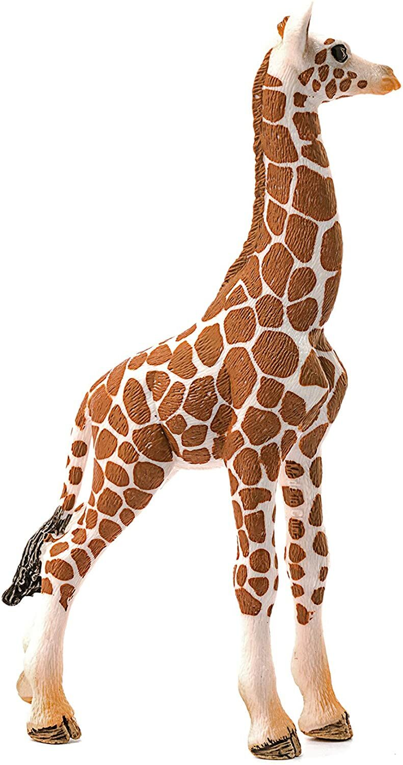 Schleich Wild Life Giraffe Calf