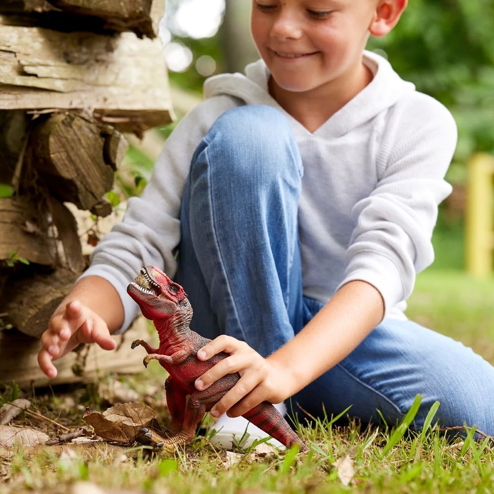 Schleich Red Tyrannosaurus Rex Toy