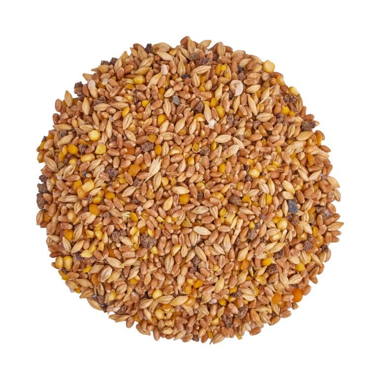 Scratch & Peck Feeds Organic Grower Mash, 10-Lb