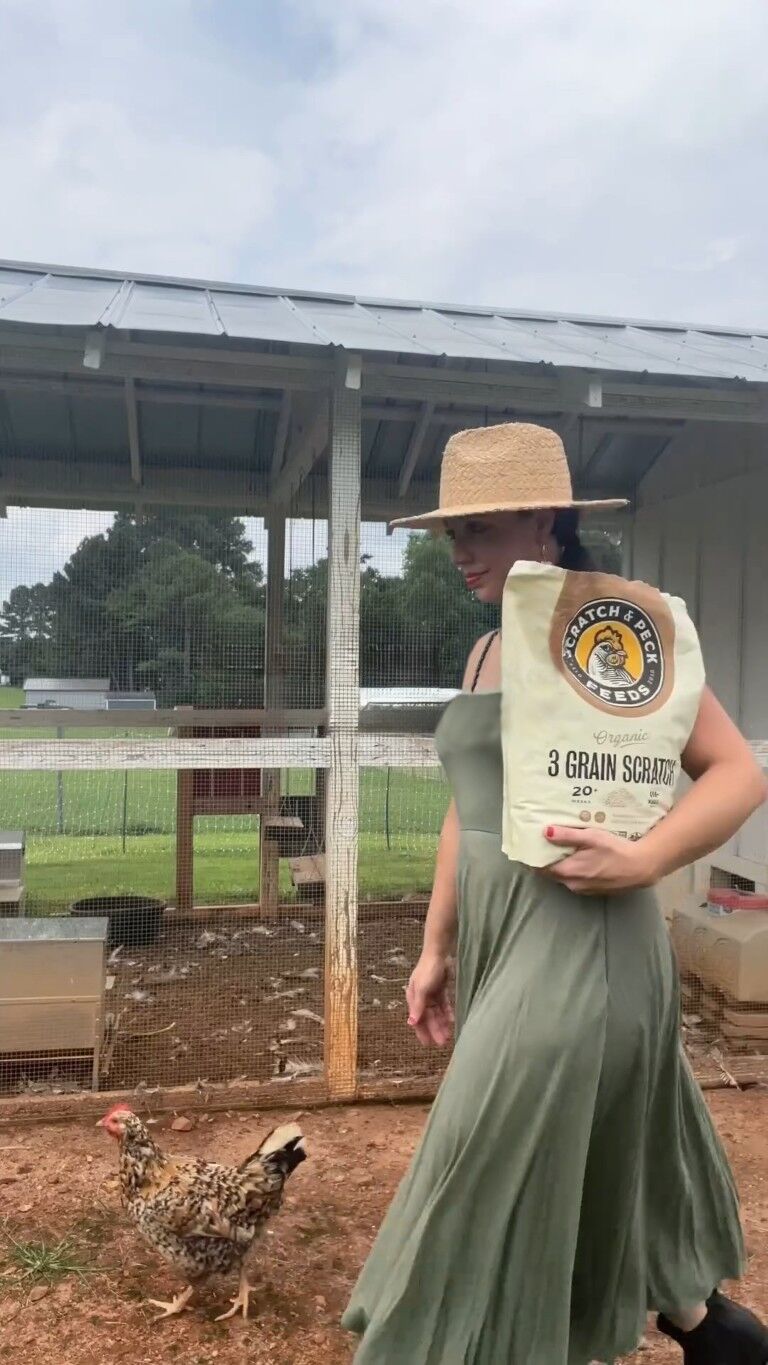 Scratch & Peck Feeds Organic 3-Grain Scratch, 10-Lb