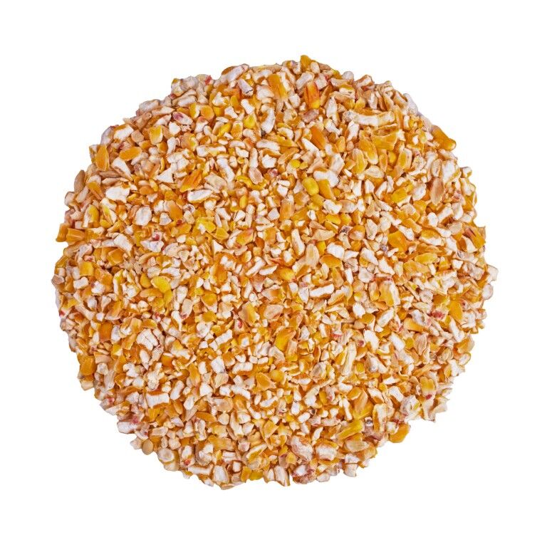 Scratch & Peck Feeds Organic Cracked Corn, 8-Lb