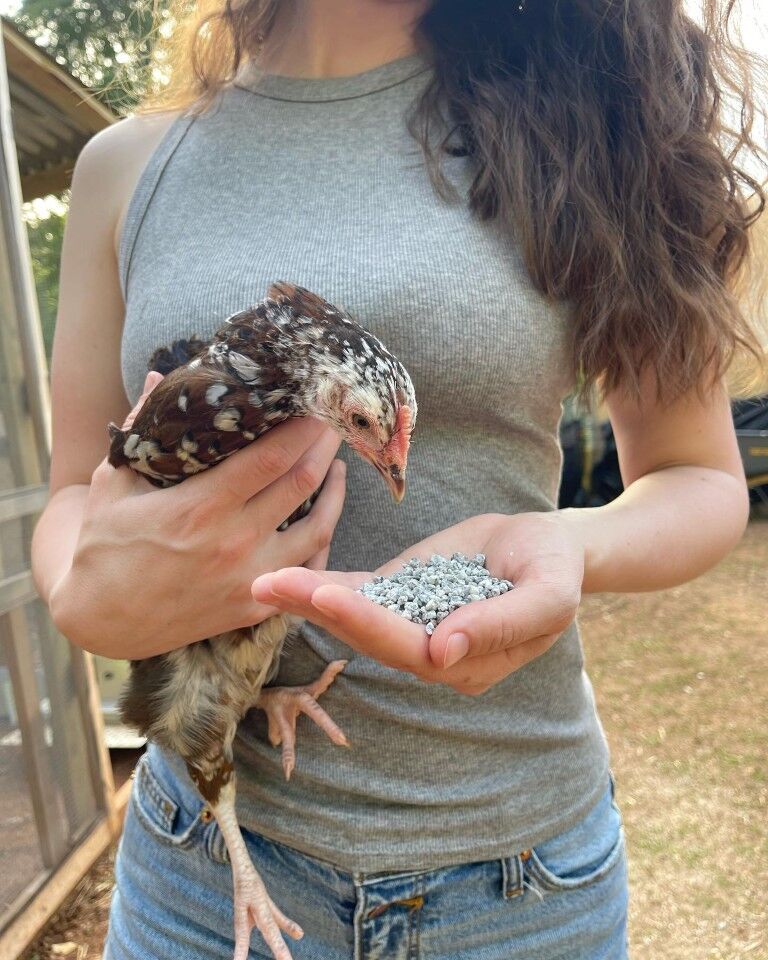 Scratch & Peck Feeds Grower Grit, 7-Lb