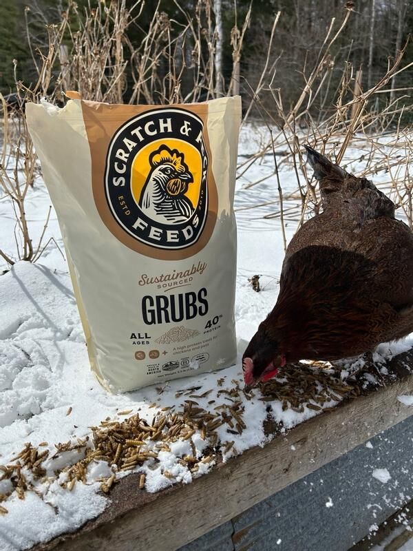 Scratch & Peck Feeds Cluckin' Good Grubs, 1.25-Lb