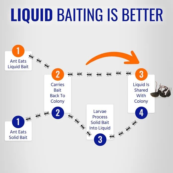 TERRO Liquid Ant Killer, 1-Oz