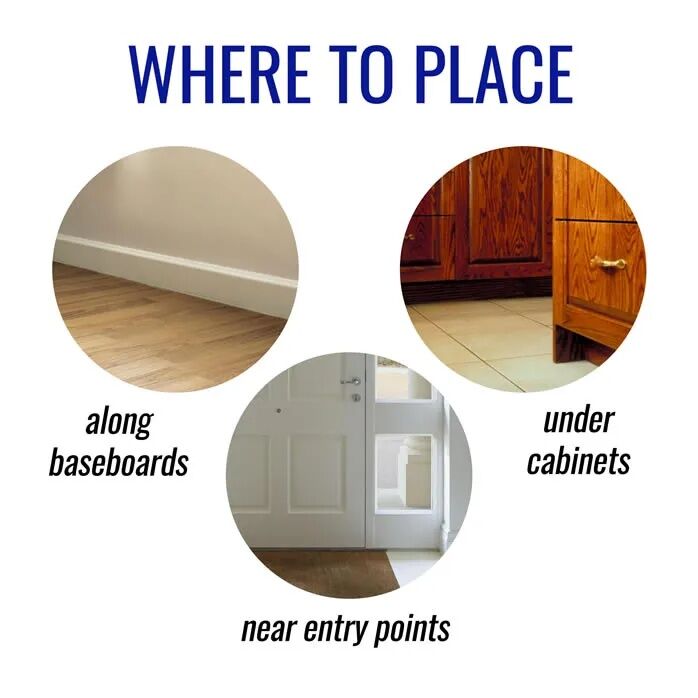 TERRO Liquid Ant Killer, 1-Oz