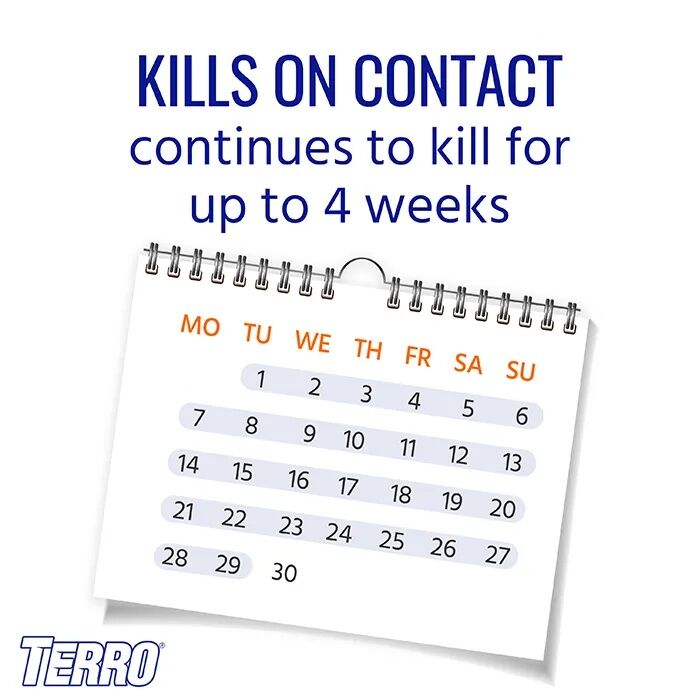 TERRO Carpenter Ant & Termite Killer Aerosol, 16-Oz