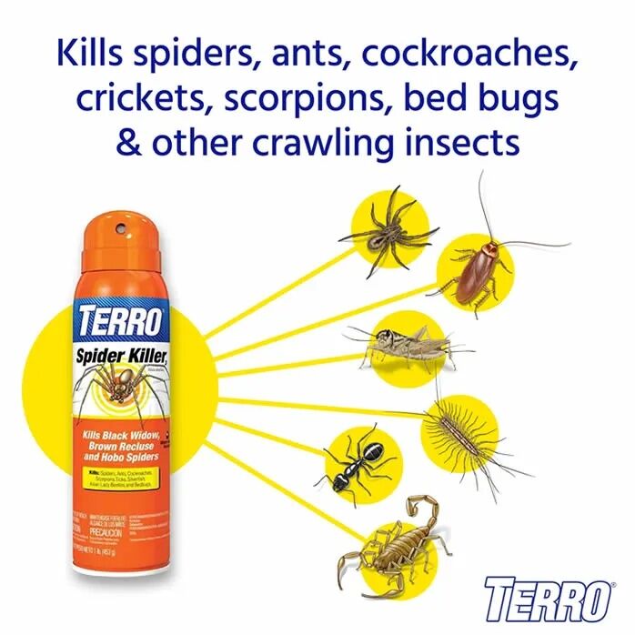 TERRO Spider Killer Aerosol Spray, 16-Oz