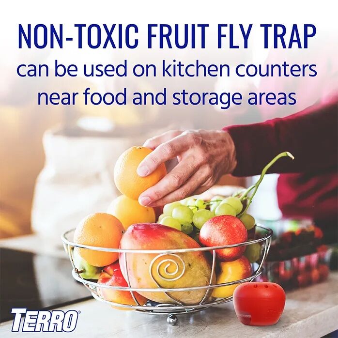 TERRO Fruit Fly Trap, 2-Pk