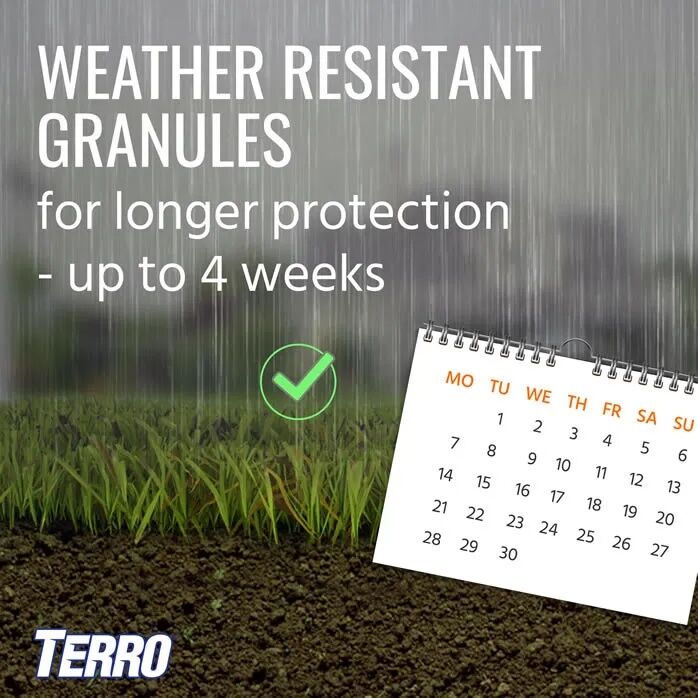 TERRO Perimeter Ant Bait Plus, 2-Lb