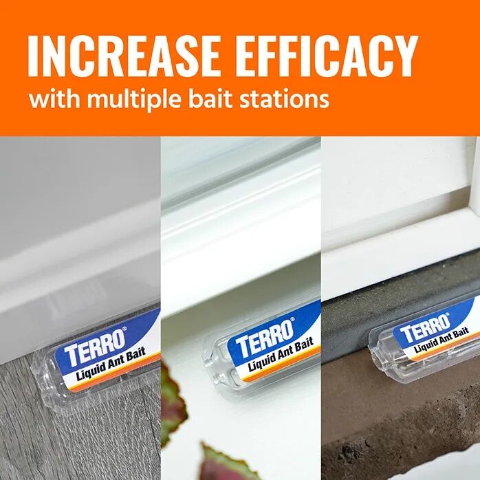 TERRO Liquid Ant Baits, 6-Pk