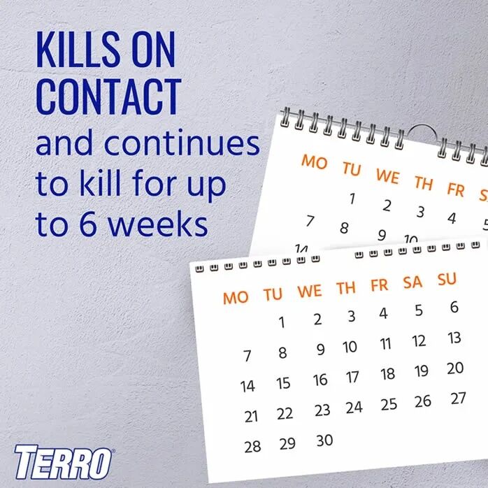 TERRO Ant Killer Spray, 16-Oz