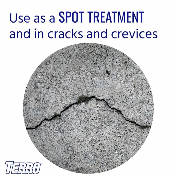 TERRO Ant Killer Spray, 16-Oz