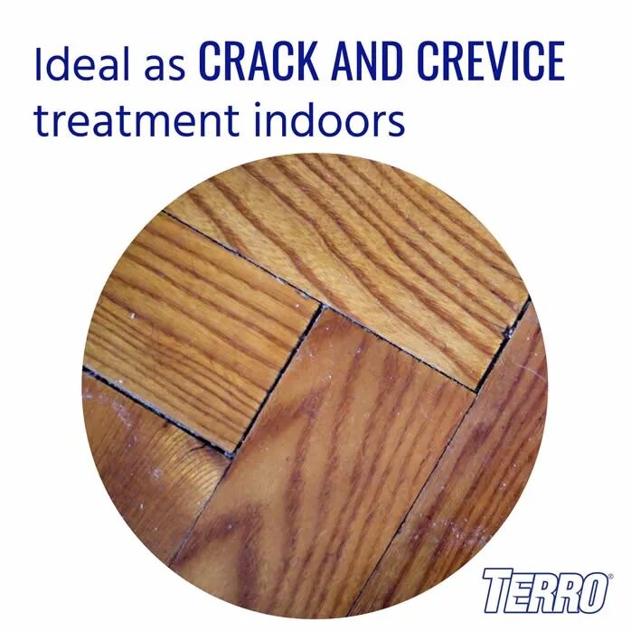 TERRO Ant Dust, 1-Lb