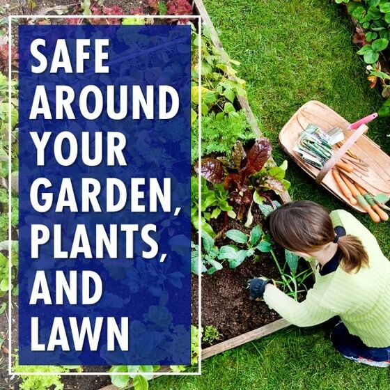 30 Seconds Spray & Walk Away Hose End, 64-Oz