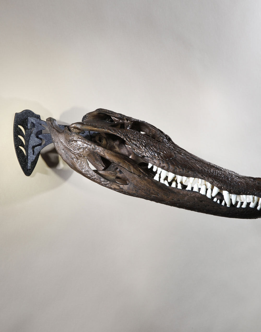 Skull Hooker Black Little Hooker Small/Medium Game Mount