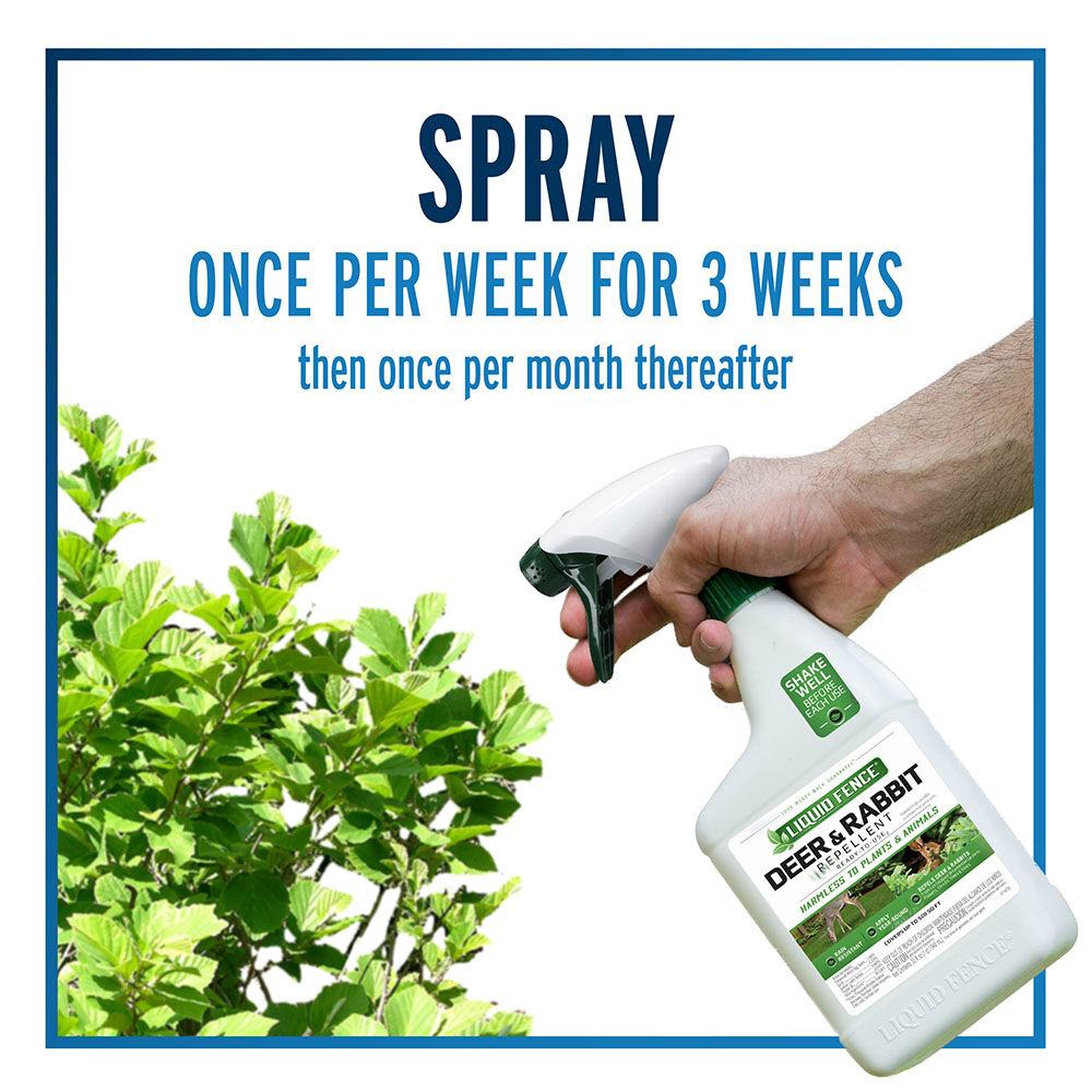 Liquid Fence Deer & Rabbit Repellent Ready-To-Use, 32-Oz