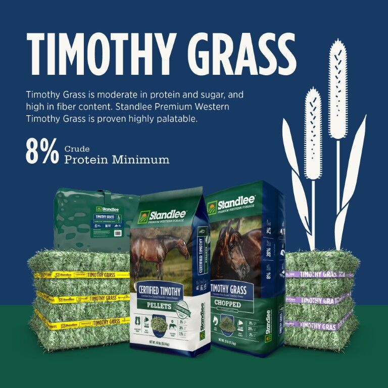 Standlee Premium Timothy Grass Grab & Go Compressed Hay Bale
