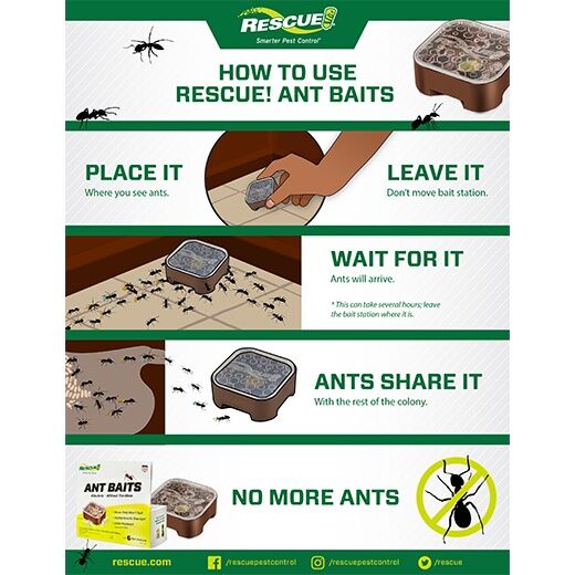 RESCUE! Ant Baits, 4-Pk