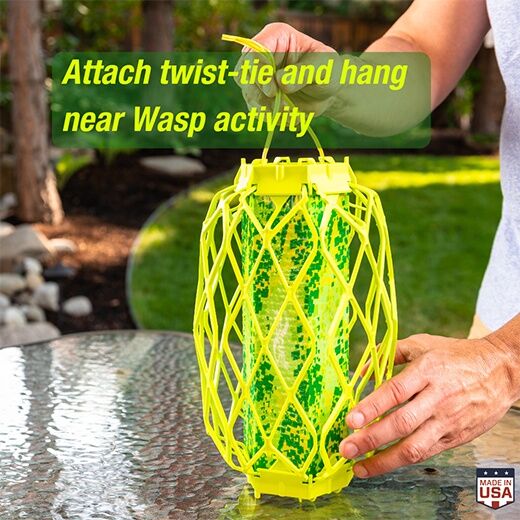 RESCUE! Wasp TrapStik