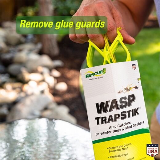 RESCUE! Wasp TrapStik