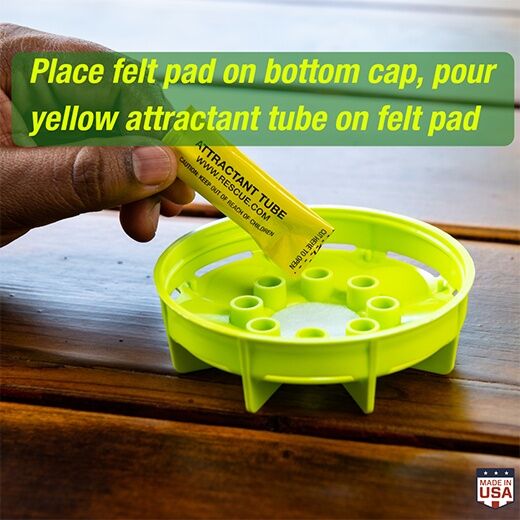 RESCUE! W-H-Y Trap for Wasps, Hornets & Yellowjackets