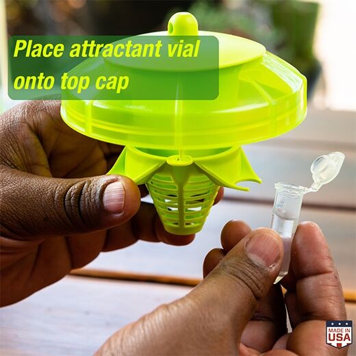 RESCUE! W-H-Y Trap for Wasps, Hornets & Yellowjackets