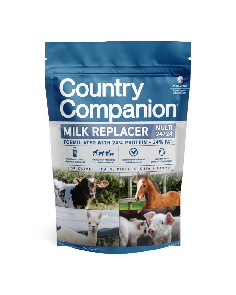 Country Companion Multi 24/24 Multi-Species Milk Replacer, 6-Lb