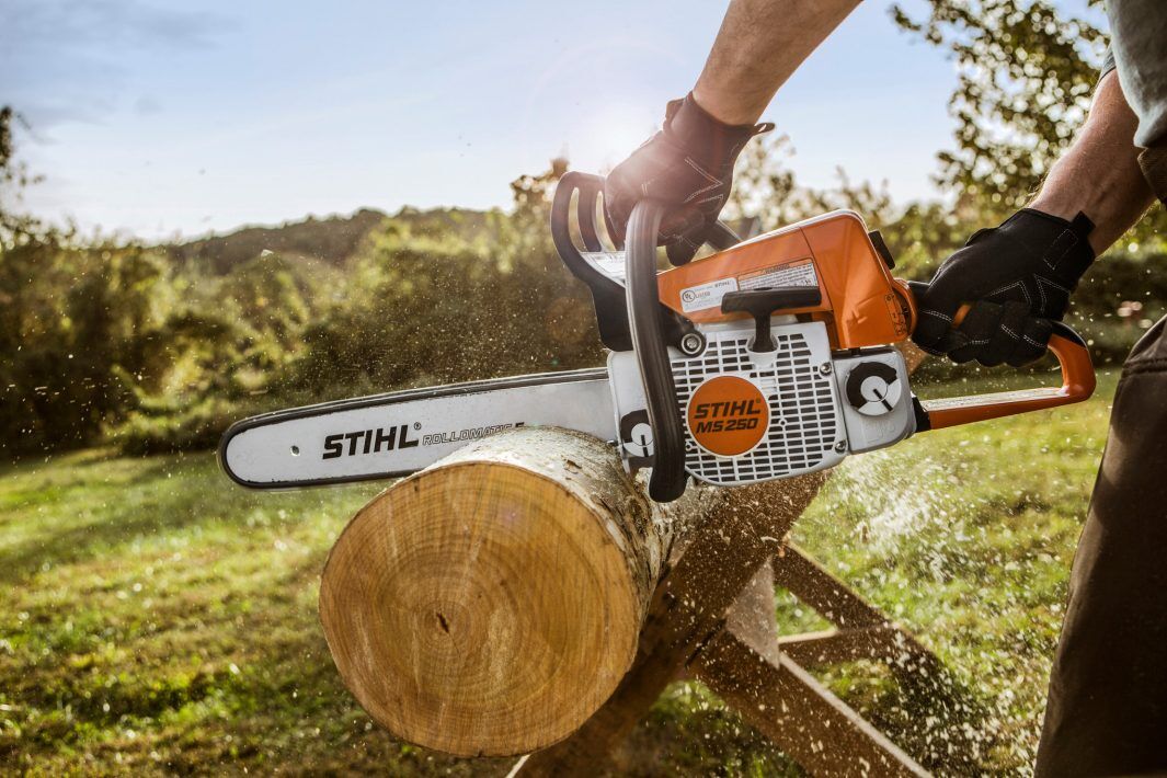 STIHL MS 250 18 in. Gas Chainsaw With 23 RM3