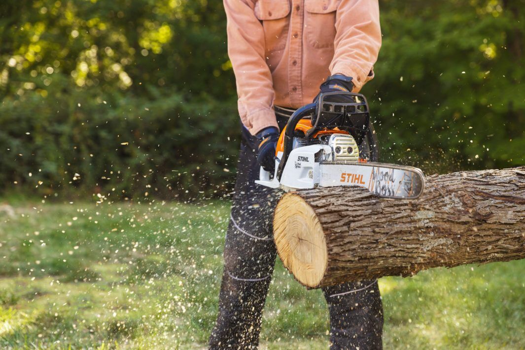 STIHL MS 251 Wood Boss 18 in. Gas Chainsaw With 23 RM3