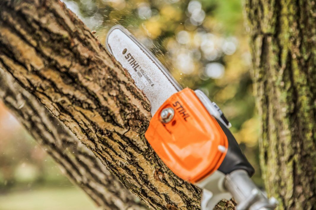 STIHL HT 56 C-E Easy2Start 10 in. Gas Pole Pruner
