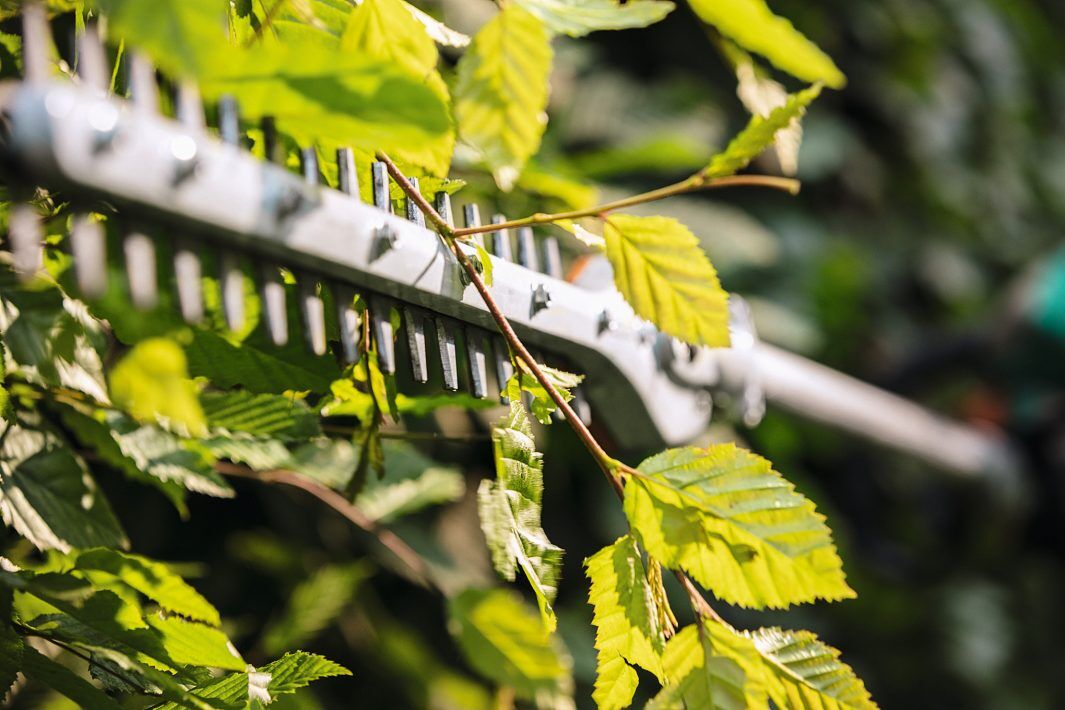 STIHL KombiSystem KM 131 R Gas KombiMotor