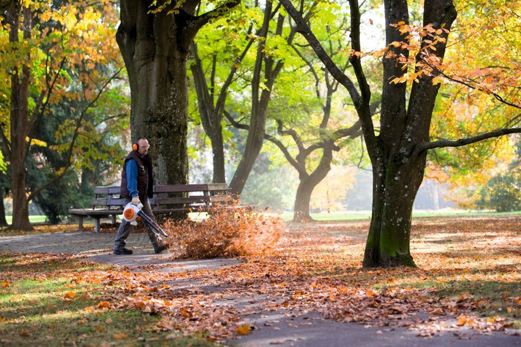 STIHL BG 86 C-E Easy2Start Gas Handheld Blower