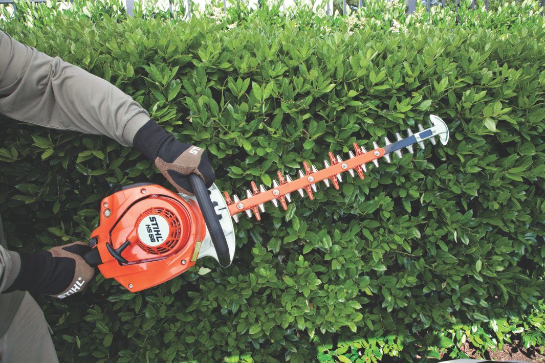 STIHL HS 56 Gas Hedge Trimmer, 24-In