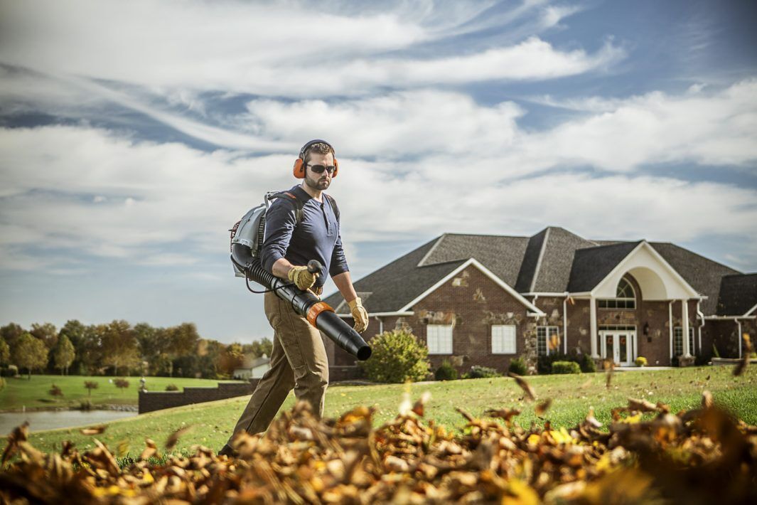 STIHL BR 450 C-EF Gas Backpack Blower