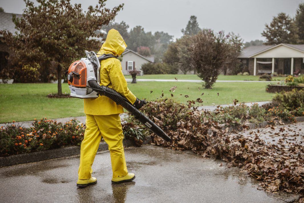 STIHL BR 600 Gas Backpack Blower