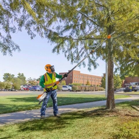 STIHL HTA 135 10 in. Battery Powered Pole Pruner (Tool Only)