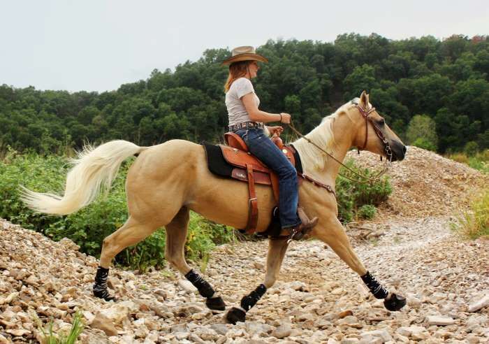 Cavallo Sport Slim Sole Hoof Boot, Size 1