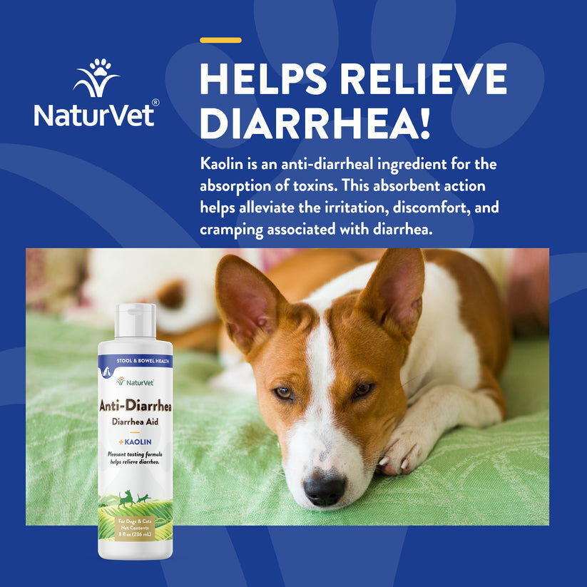 NaturVet Anti-Diarrhea Liquid Supplement, 8-Oz