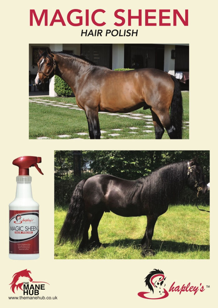 Shapley's Magic Sheen