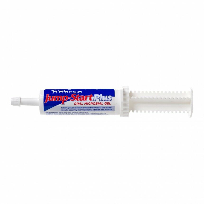 Jump-Start Plus Oral Microbial Gel, 60-Gm Tube
