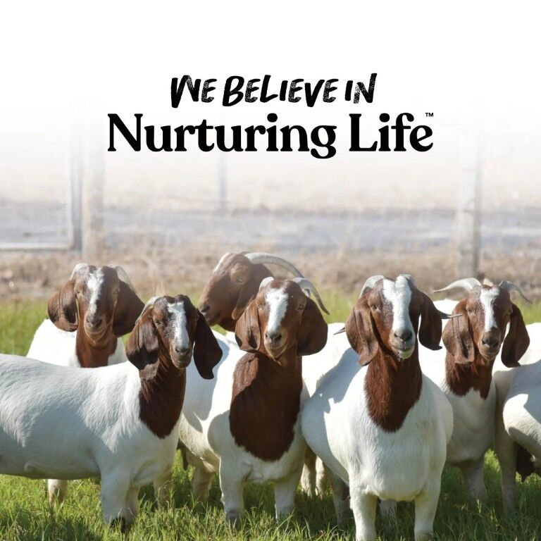 Manna Pro Goat Balancer, 10-Lb