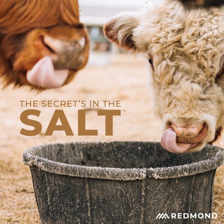 Redmond Selenium 90 Mineral Salt, 50-Lb