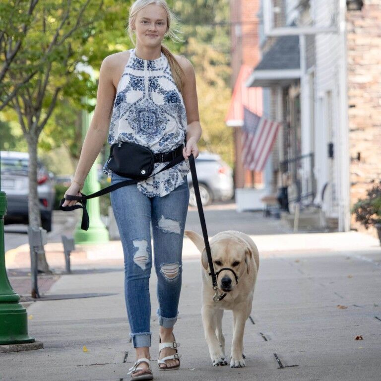 Costal Pet Products Walk 'n Train! Black Medium Dog Head Halter